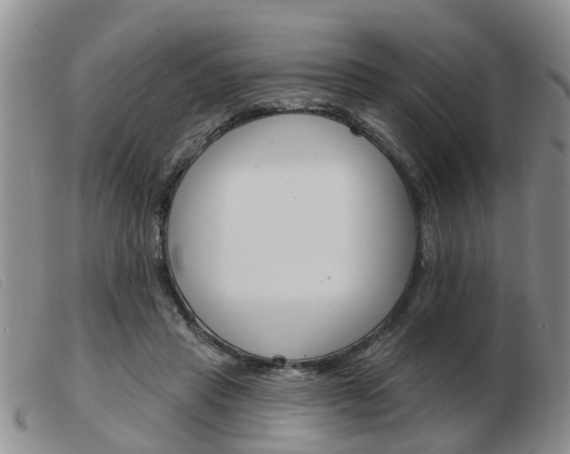 X0000103930453200809191128