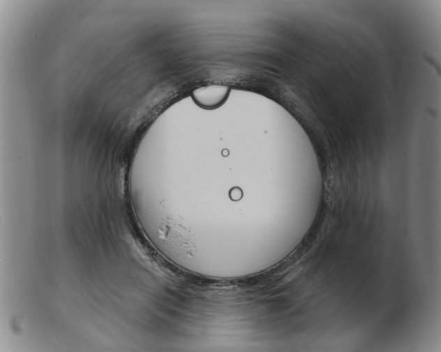 X0000103930454200809191128