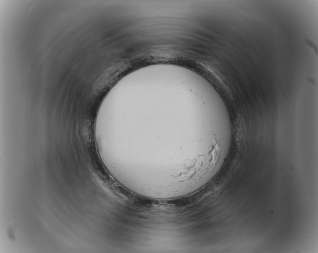 X0000103930455200809191128