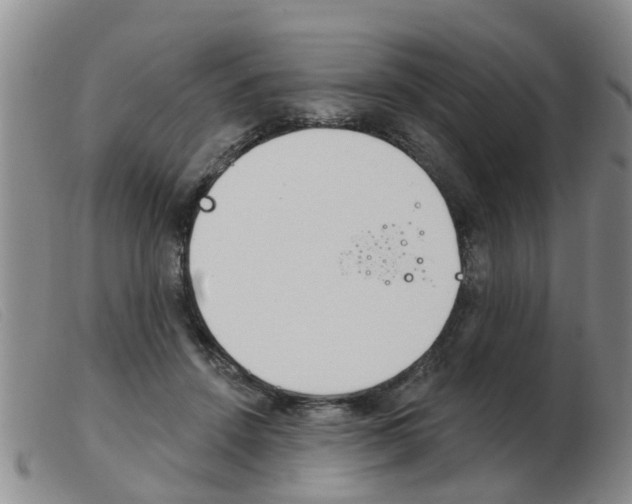X0000103930456200809191128