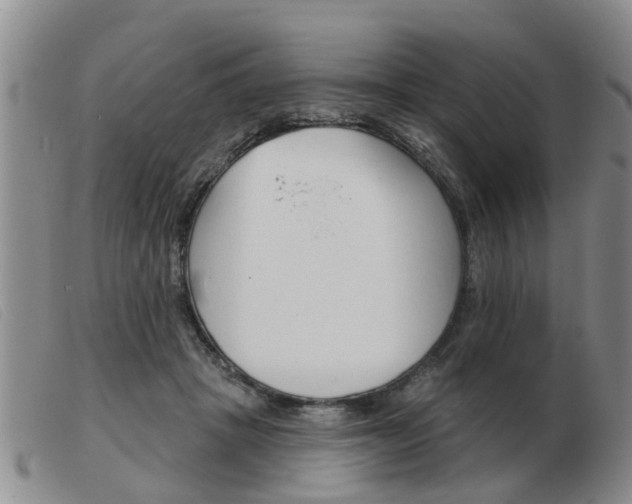 X0000103930457200809191128