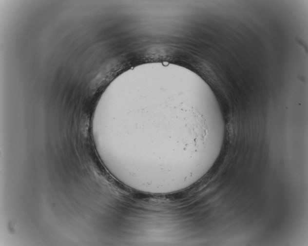 X0000103930458200809191128
