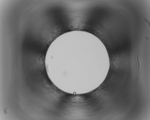 X0000103930460200809191128
