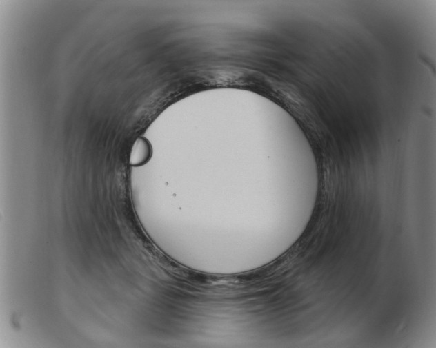 X0000103930461200809191128