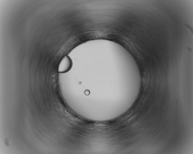 X0000103930462200809191128