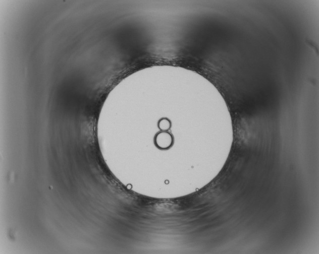 X0000103930468200809191128
