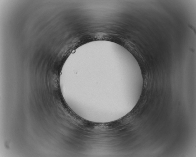 X0000103930470200809191128