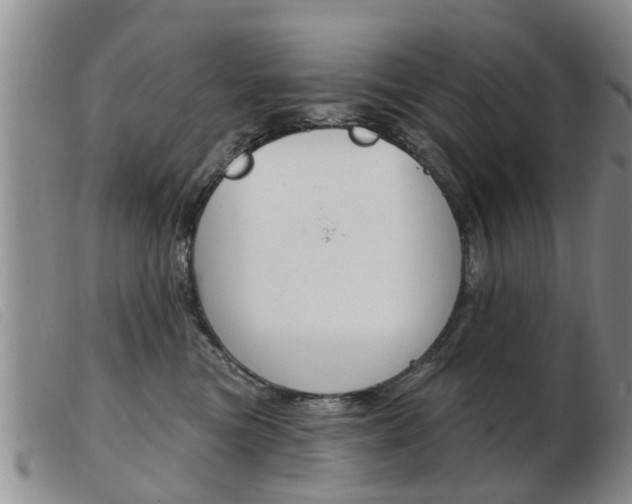 X0000103930473200809191128