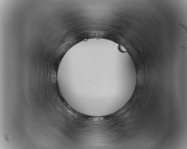 X0000103930474200809191128