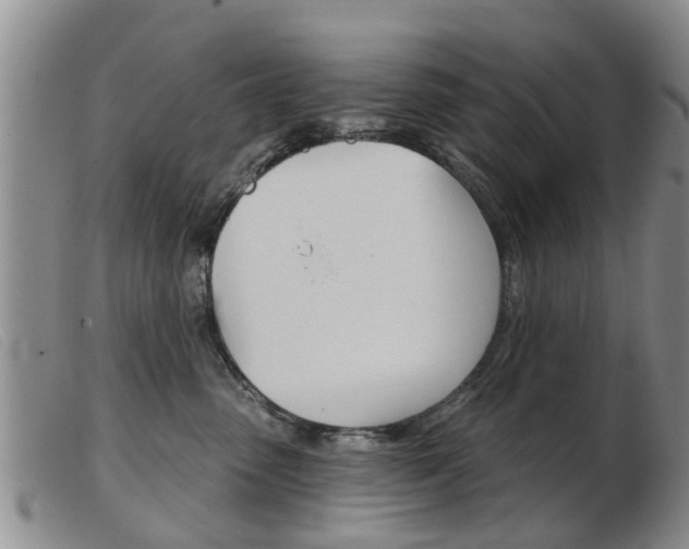 X0000103930475200809191128