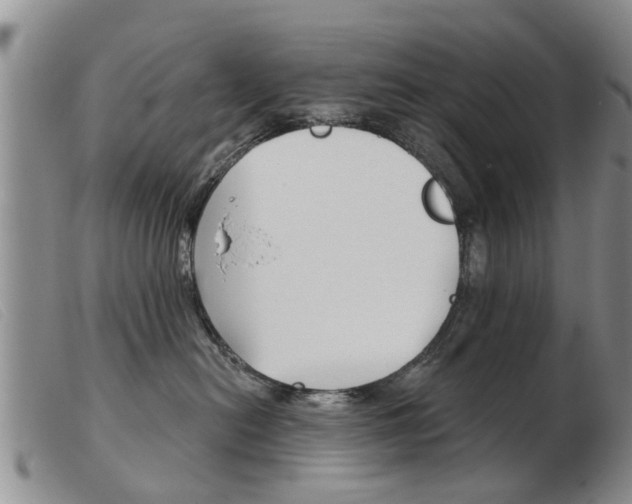 X0000103930478200809191128