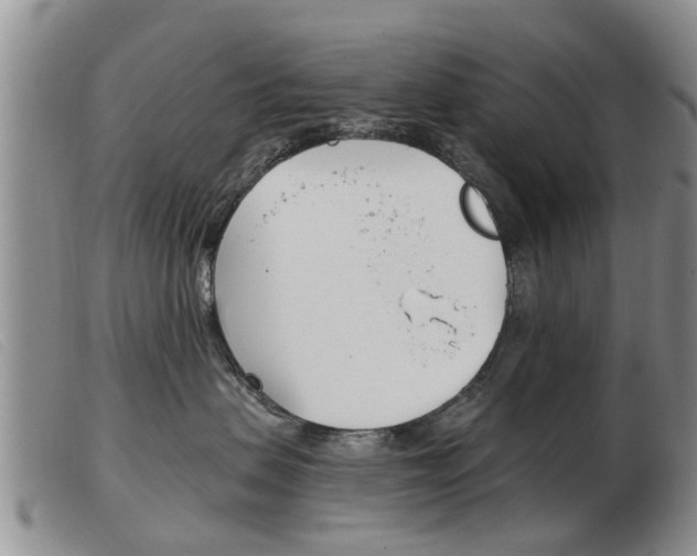 X0000103930479200809191128