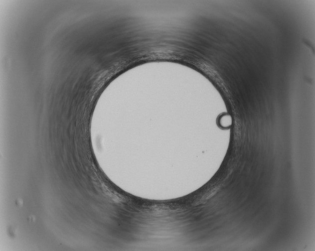 X0000103930481200809191128
