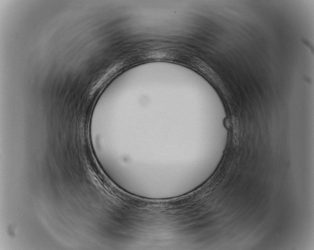 X0000103930482200809191128