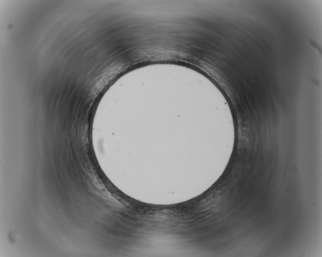 X0000103930485200809191128