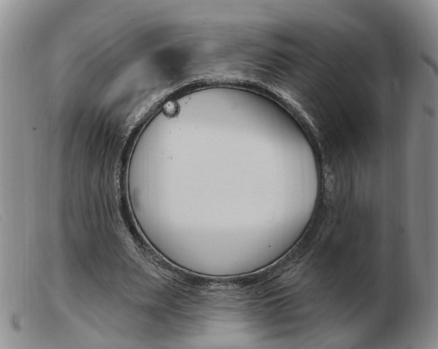 X0000103930487200809191128