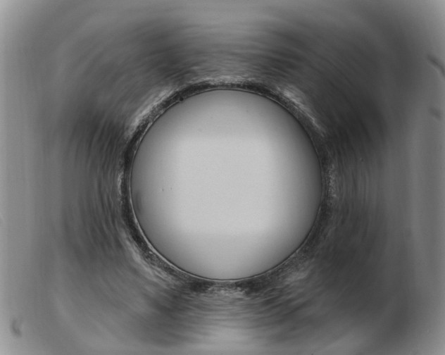 X0000103930491200809191128