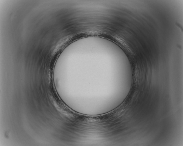 X0000103930494200809191128