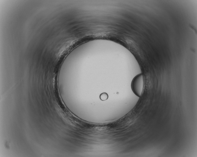 X0000103930495200809191127