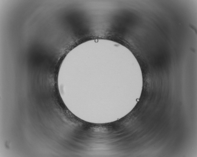 X0000103930500200809191127