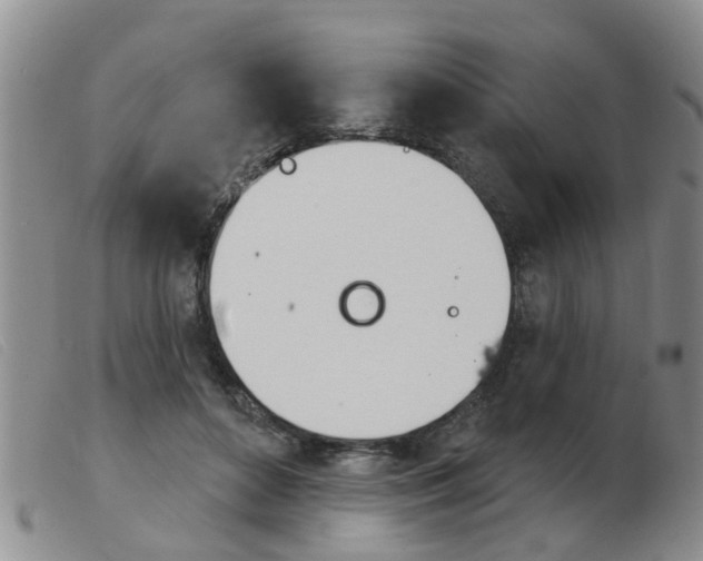 X0000103930504200809191127