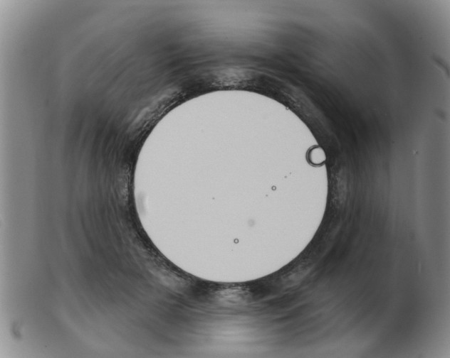 X0000103930505200809191127