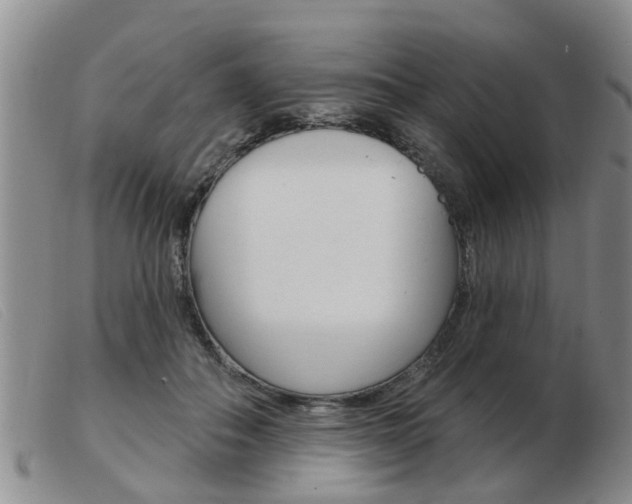 X0000103930506200809191127