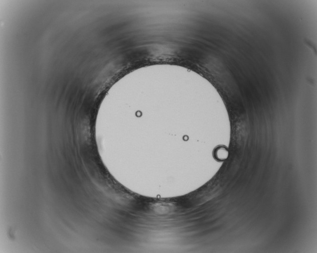 X0000103930508200809191127