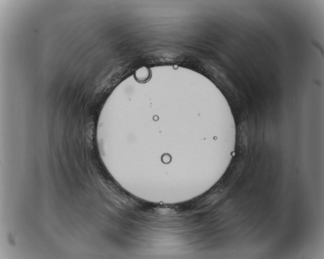 X0000103930509200809191127
