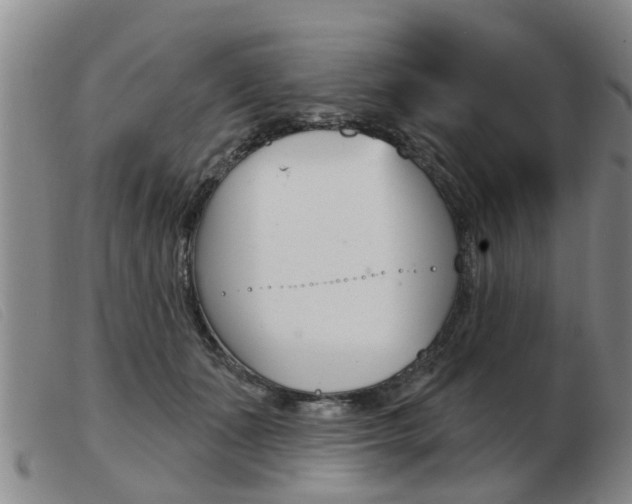 X0000103930511200809191127
