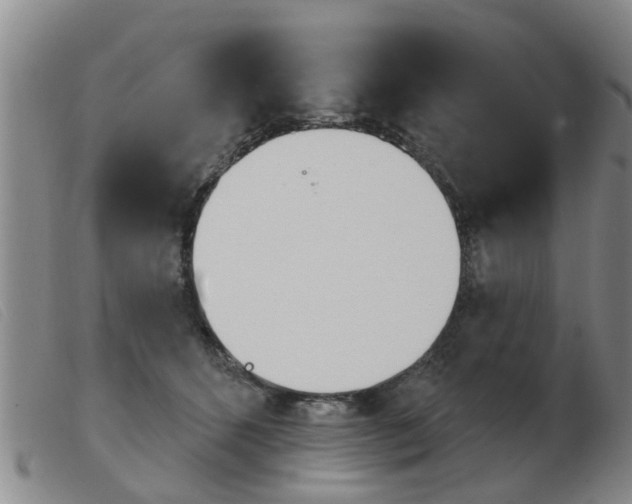 X0000103930512200809191127