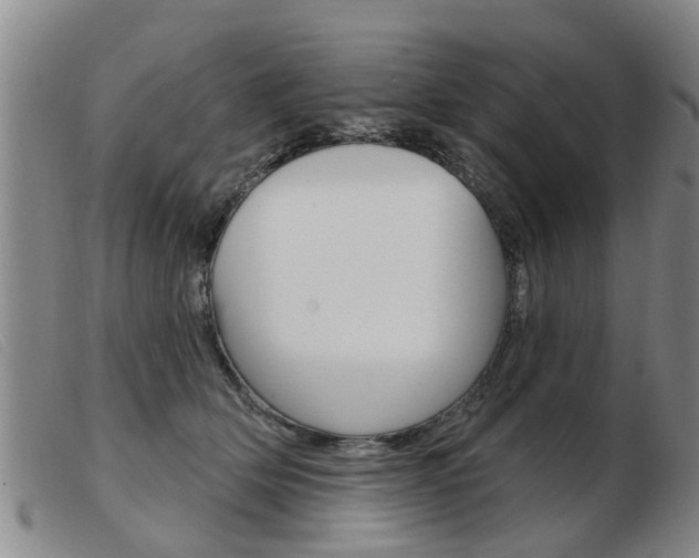 X0000103930514200809191127
