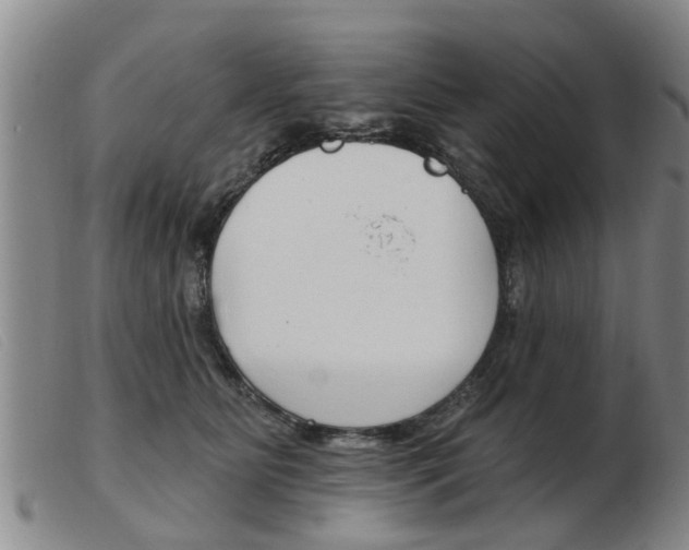 X0000103930515200809191127