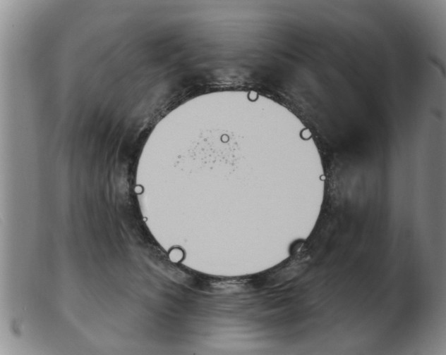 X0000103930516200809191127