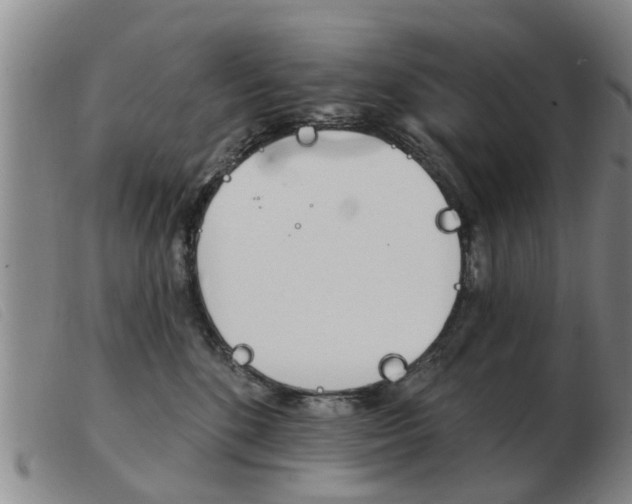 X0000103930520200809191127