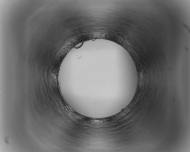 X0000103930522200809191127