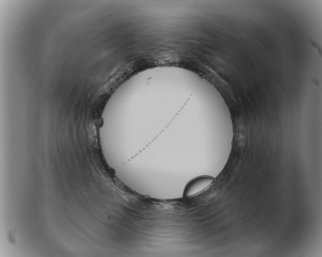 X0000103930523200809191127