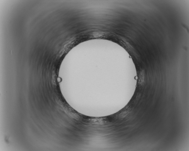 X0000103930524200809191127