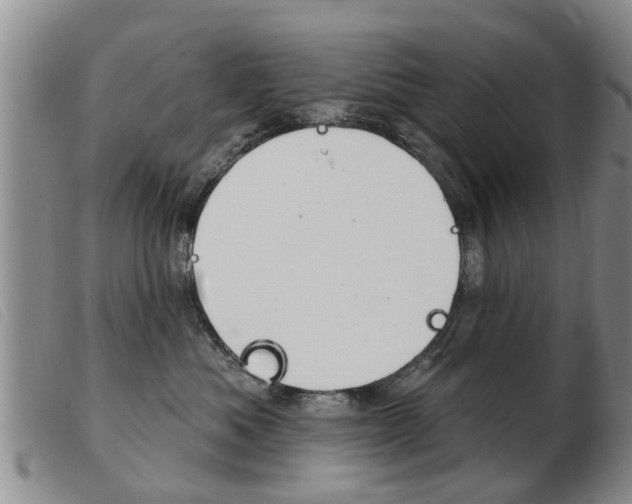X0000103930525200809191127