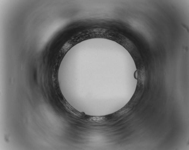 X0000103930526200809191127