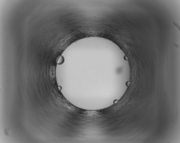 X0000103930528200809191127