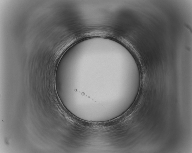 X0000103930529200809191126