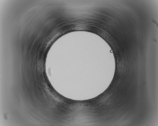 X0000103930530200809191126