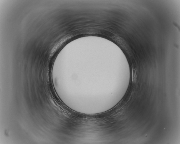 X0000103930531200809191126