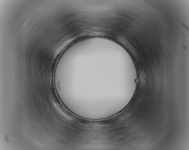 X0000103930533200809191126