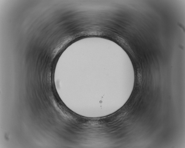 X0000103930534200809191126