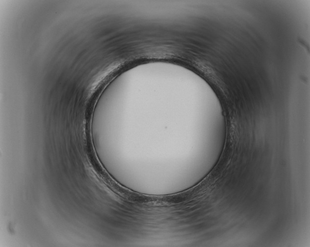 X0000103930535200809191126