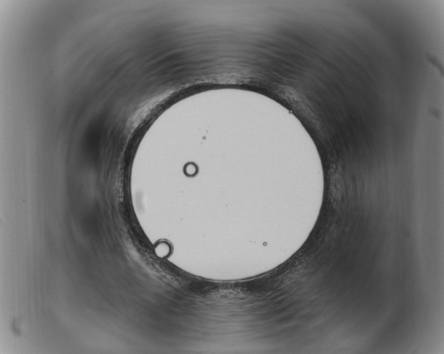 X0000103930536200809191126