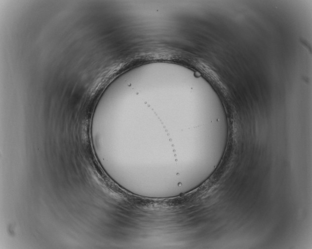 X0000103930537200809191126