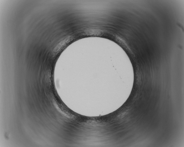 X0000103930538200809191126